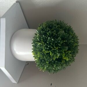 fake potted plant 🪴